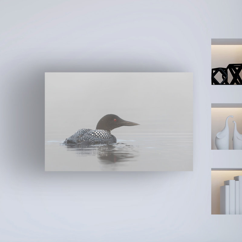 «Common Loon in Early Morning Fog» par Jim Cumming - reproduction de photo sur toile tendue, H 30 po x l 47 po x P 2 po