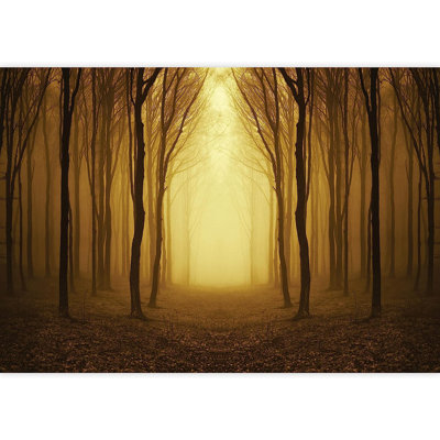 An Oranged Misted Pathway in an Mysterious Forest Paintable Wall Mural