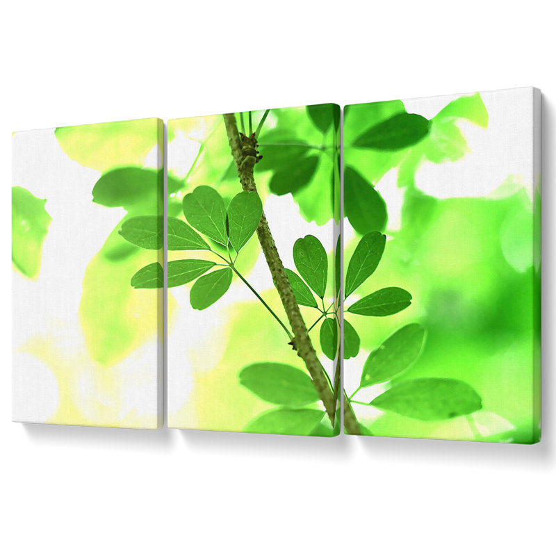 Spring Has Sprung - 3 Piece Wrapped Canvas Print, 81.3cm H x 163cm W
