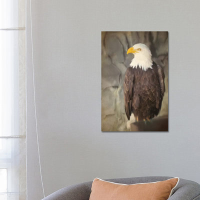 Perched by Kimberly Allen - Wrapped Canvas Gallery-Wrapped Canvas Giclée