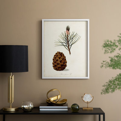 Étude d'arbre antique V, reproduction encadrée - bois massif