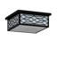 2 - Light Flush Mount