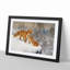Two Foxes by Bruno Liljefors - Framed Print-62792558-62792559