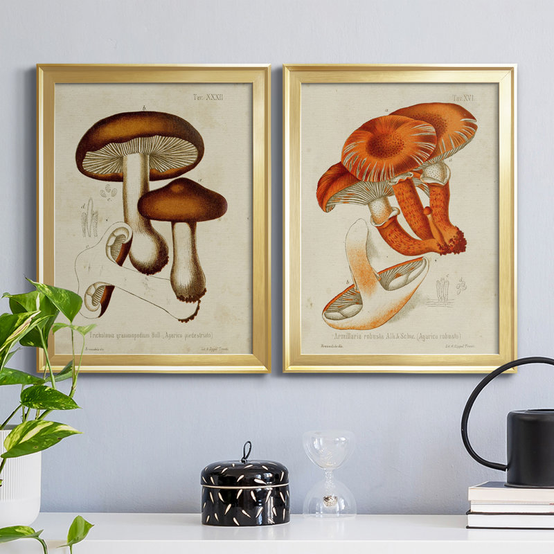 Champignon Variétés VI, reproduction encadrée de qualité supérieure, prête à être accrochée, Cadre doré