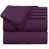 Aubergine