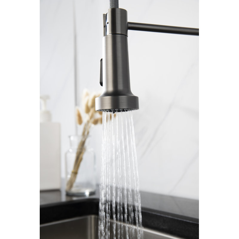 LITTLE TREE Pull Out Kitchen Faucet