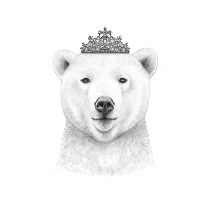 Queen Bear 1 Piece Wrapped Canvas Wall Art, 101.6cm H x 66.04cm W x 1.905cm D