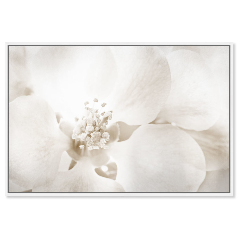 «Floral and Botanical Orchid Love», reproduction d'art graphique sur toile, H 16 po x l 24 po, Impression encadrée, Blanc