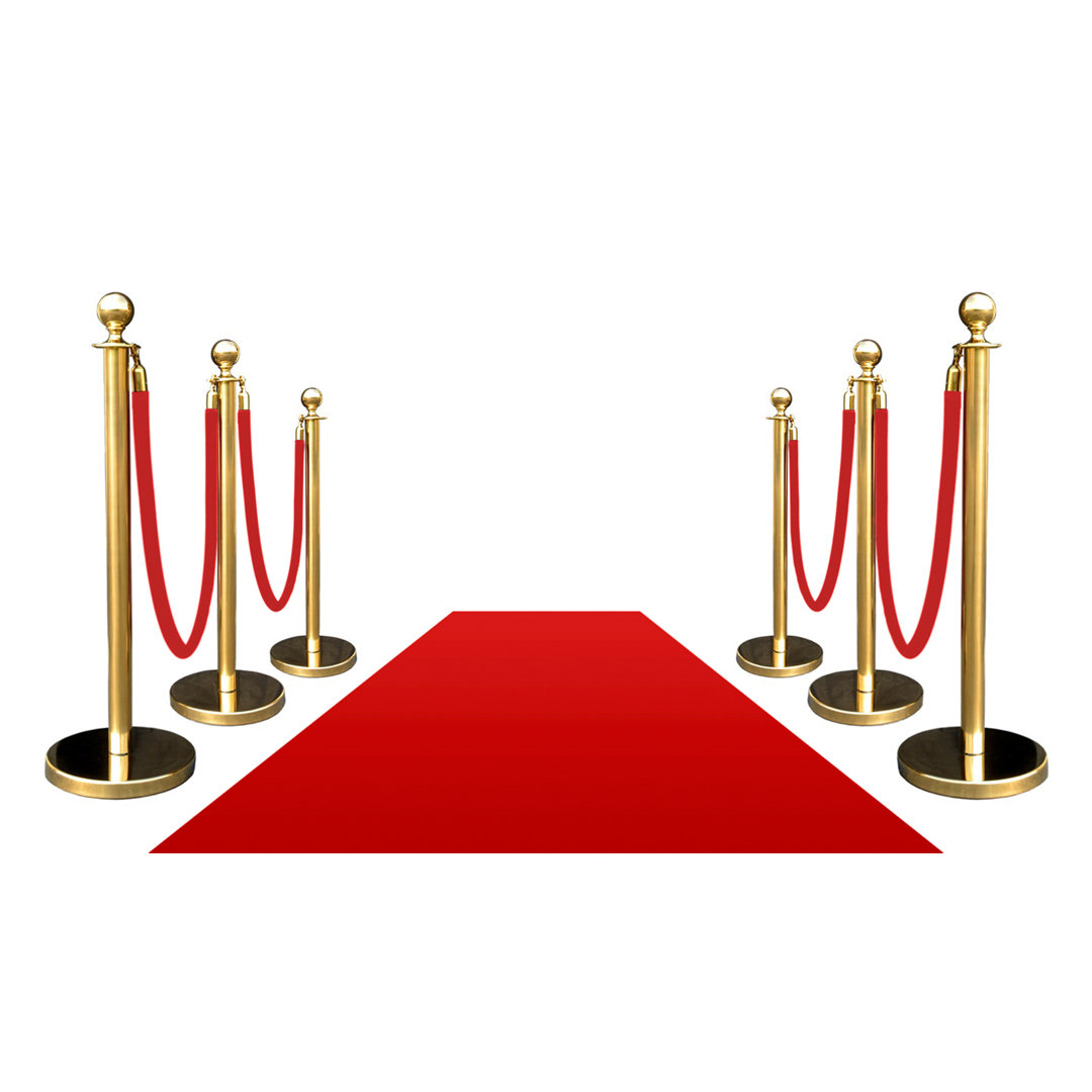 VIP Crowd Control 40'' H x 12'' W Stanchion System VIP Crowd Control