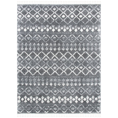 Berber Fringe Shag Performance Southwestern Rug