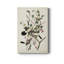 Pl 192 Great Cinereous Shrike - reproduction d'art sur toile tendue-916754972