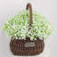 Fleurs artificielles Babys Breath