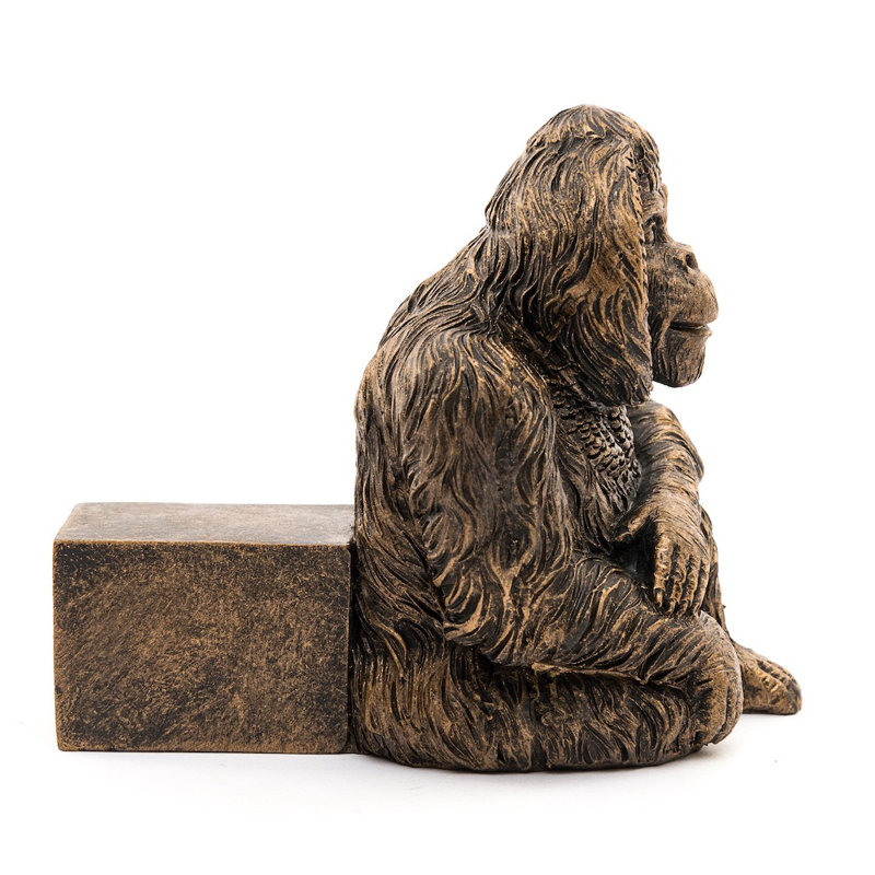 Orang-outan pieds de jardinière couleur bronze dans une boîte cadeau