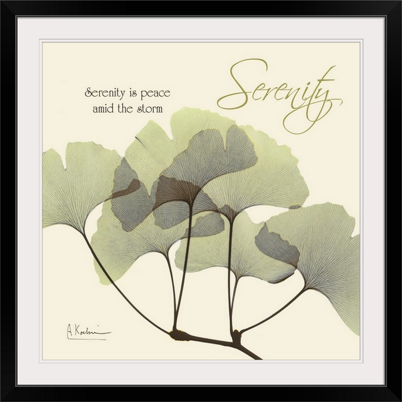"Manigault" Serenity Gingko X-Ray par Kiranjit, reproduction de photo, H 20" x l 20" x P 1", Cadre noir