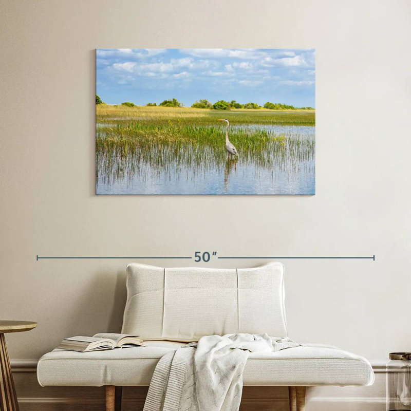 Alvord dans le parc national des Everglades