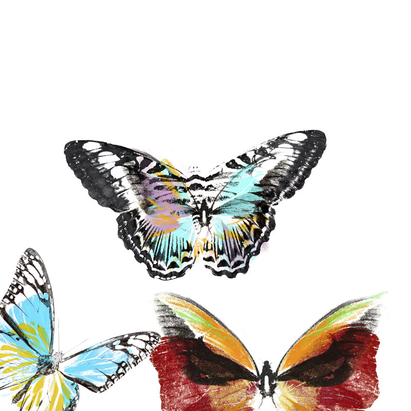 Butterflies Dance II, H 12 po x l 12 po x P 1,25 po
