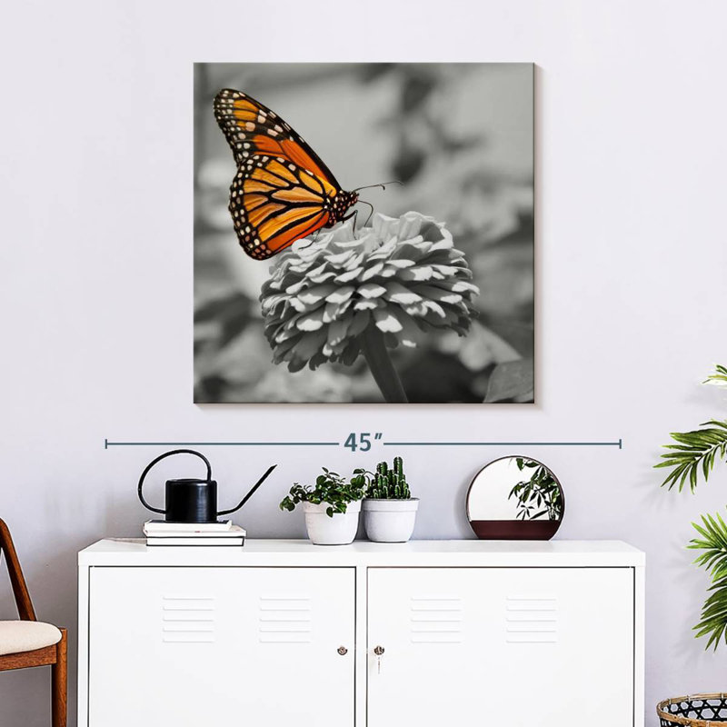 Papillon Brampt, H 30 po x l 30 po