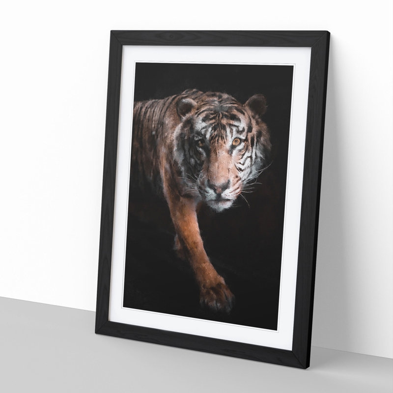 Prowling Tiger - Picture Frame Graphic Art, Black Framed, 65cm H x 48cm W x 2cm D