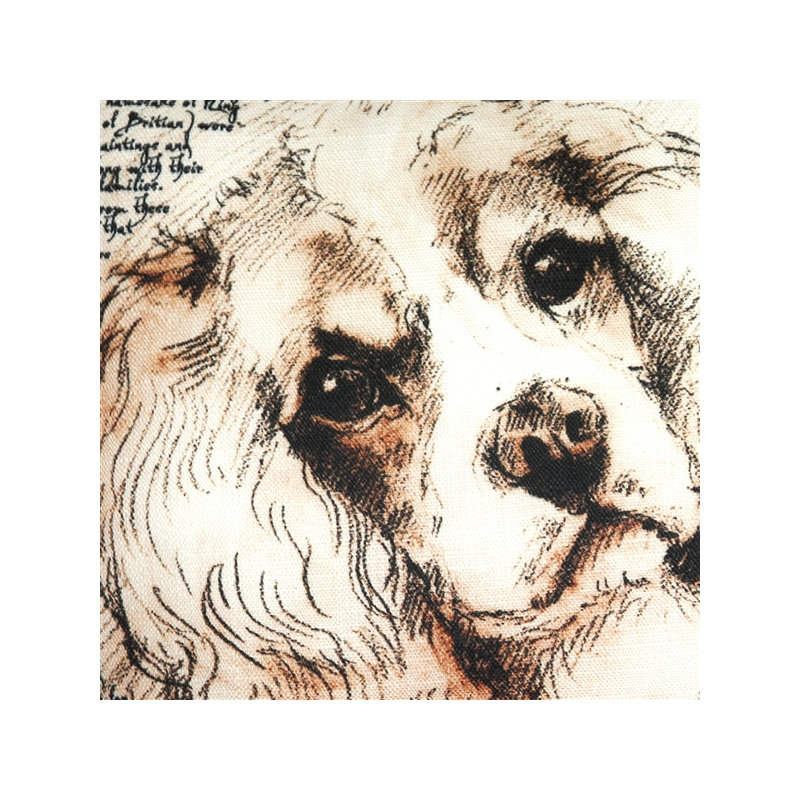 Coussin décoratif intérieur/extérieur pour chien cavalier king charles épagneul Cathkin
