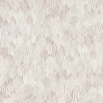 Feathers Wallpaper
