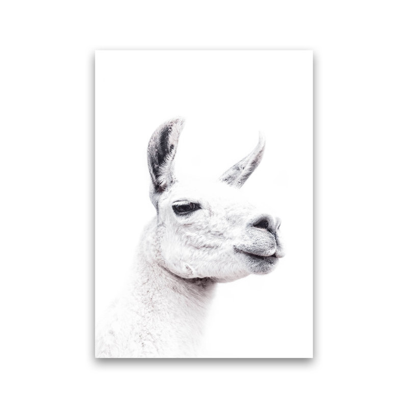 Llama I by Victoria Frost - Print, Unframed, 42cm H x 30cm W x 1cm D
