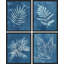 «Pastel Blue Tropical Jungle Monstera Leaves», ensemble de 4 reproductions de cadres photo simples-97762543-97762542