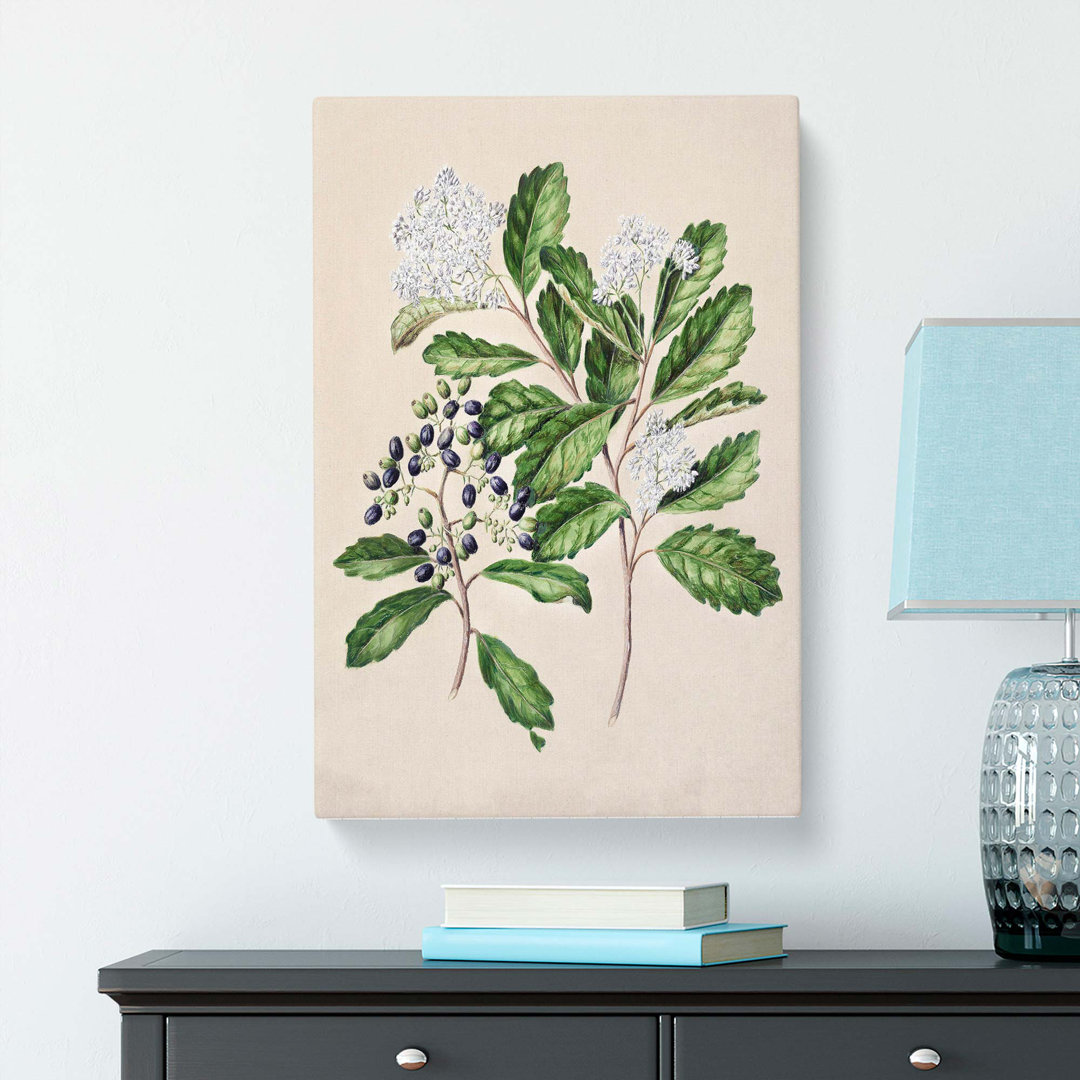 Kaikomako Flowers by Sarah Featon - Wrapped Canvas