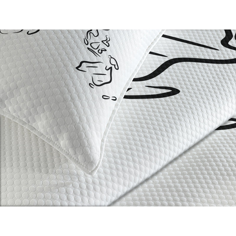 White Quilted Queen Bedspread Set with World Map Design