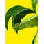 Untitled Print by Jones, Emma-116986435-116986436