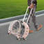 Sac de transport transparent pour animaux 15,7 po avec évents et poignée télescopique, capacité de 19 lb-122081835