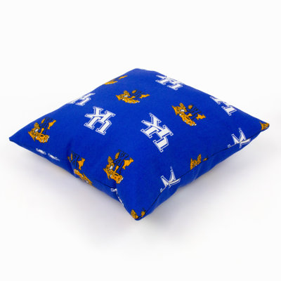 Kentucky Wildcats Outdoor Square Pillow Cover & Insert, Kentucky Wildcats