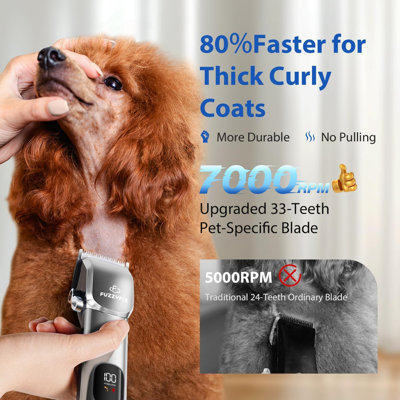 Nécessaire de toilettage pour chien, ciseaux pour chien pour des manteaux bouclés épais, tondeuse professionnelle sans fil à faible bruit et coupe-pattes pour chiens, chats, animaux de compagnie