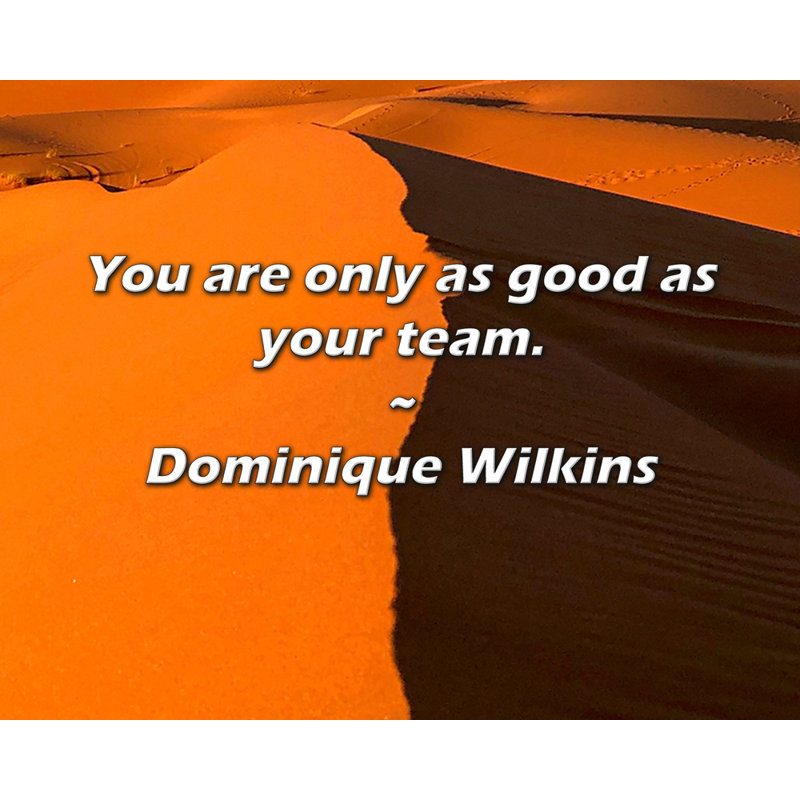 Citation de Dominique Wilkins: Vous êtes aussi bon que votre équipe.