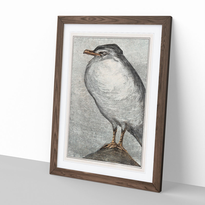 Herring Gull by Theo Van Hoytema - Framed Print, Walnut Framed, 65cm H x 48cm W x 2cm D