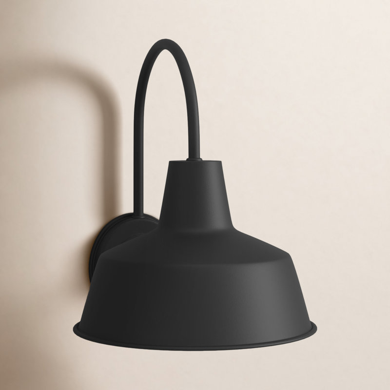 Luminaire de grange d'extérieur Alexandrina, Noir, H 10,75 po x l 8,25 po x p 10,5 po