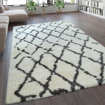 Stanwyck Geometric Shag Area Rug