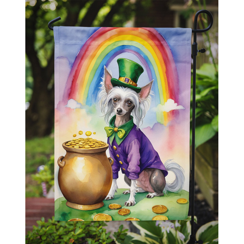 Double Sided 15.5'' H x 11.25'' W Polyester St Patrick's Day Garden Flag