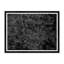 Among Static Pines I Framed Photographic Print