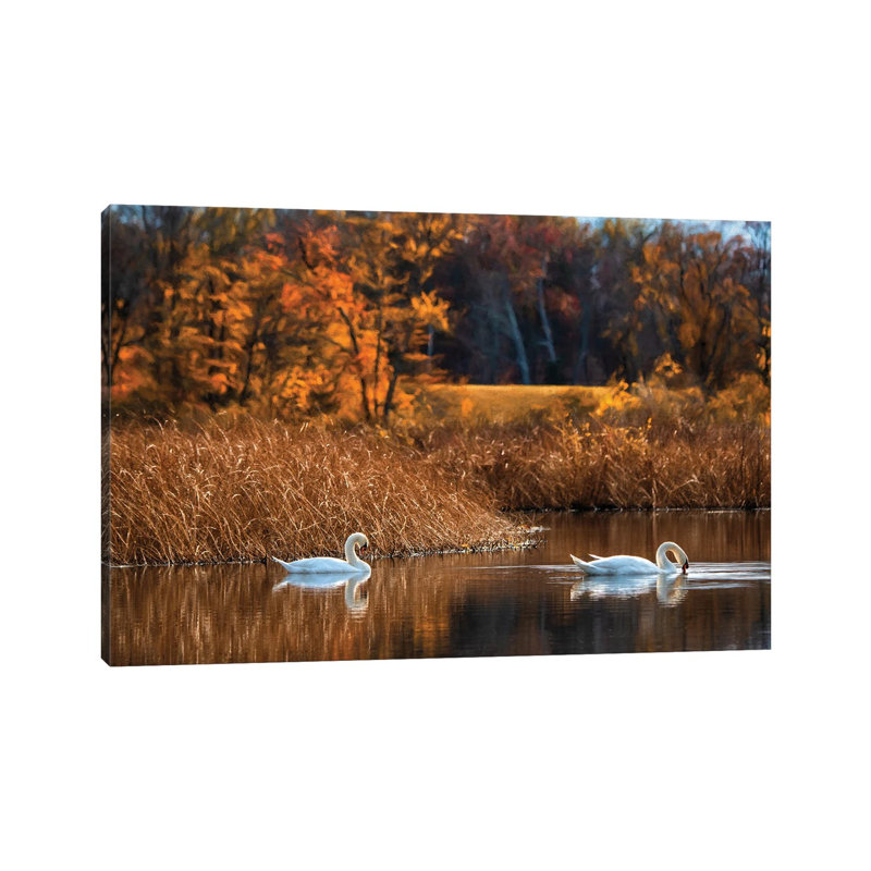 Fall Duet by David Gardiner - Rectangle Print on Canvas, 12"H x 18"W