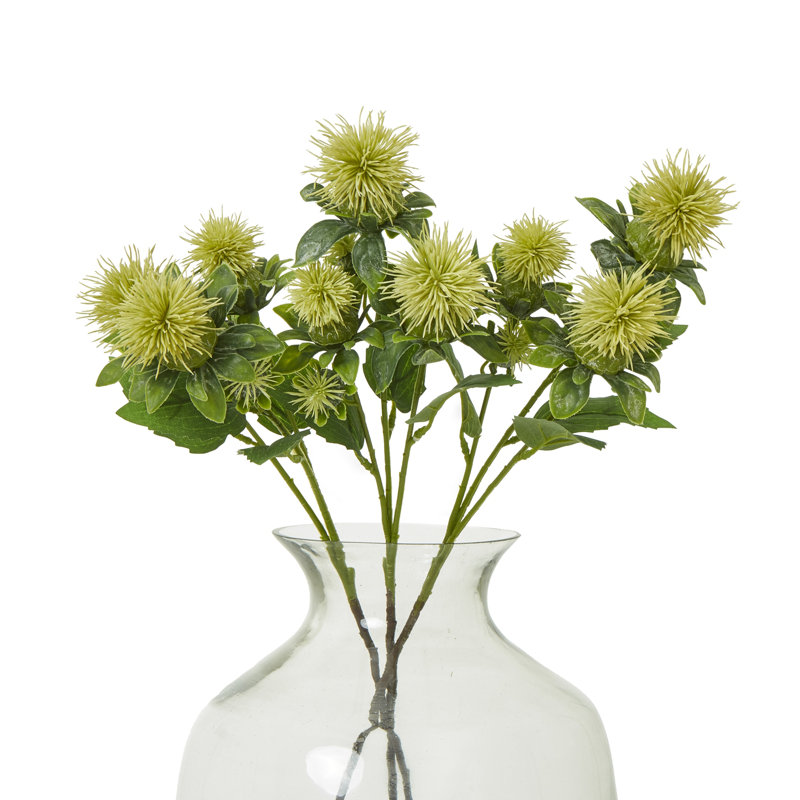 Anastasija Arrangement, Green
