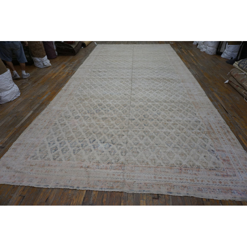 Tapis surdimensionné en coton ivoire Antique Agra