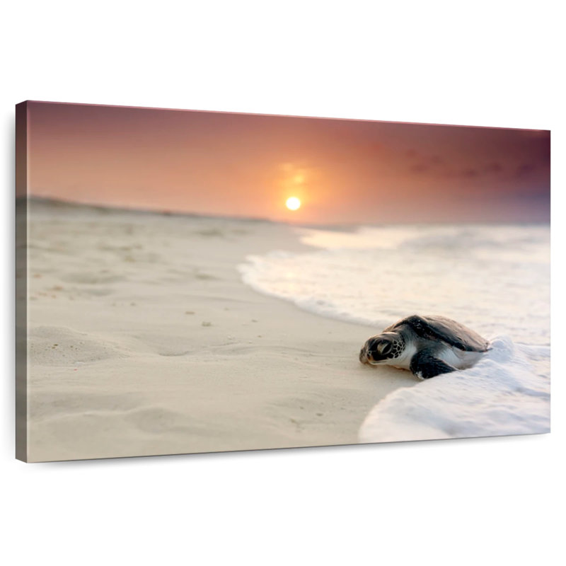 Brampt Turtle On The Shore, 32" H x 48" W