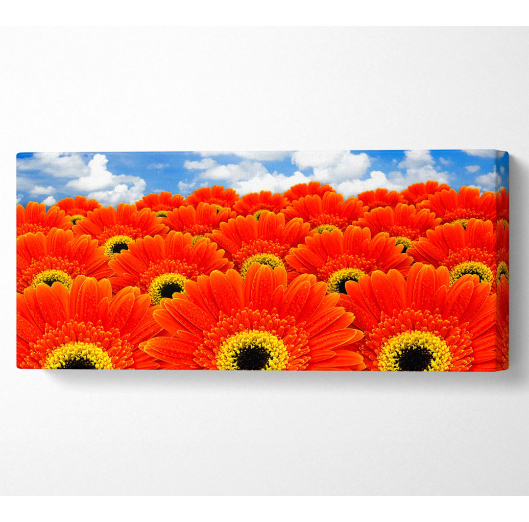 Orange Gerbera Heaven - Druck