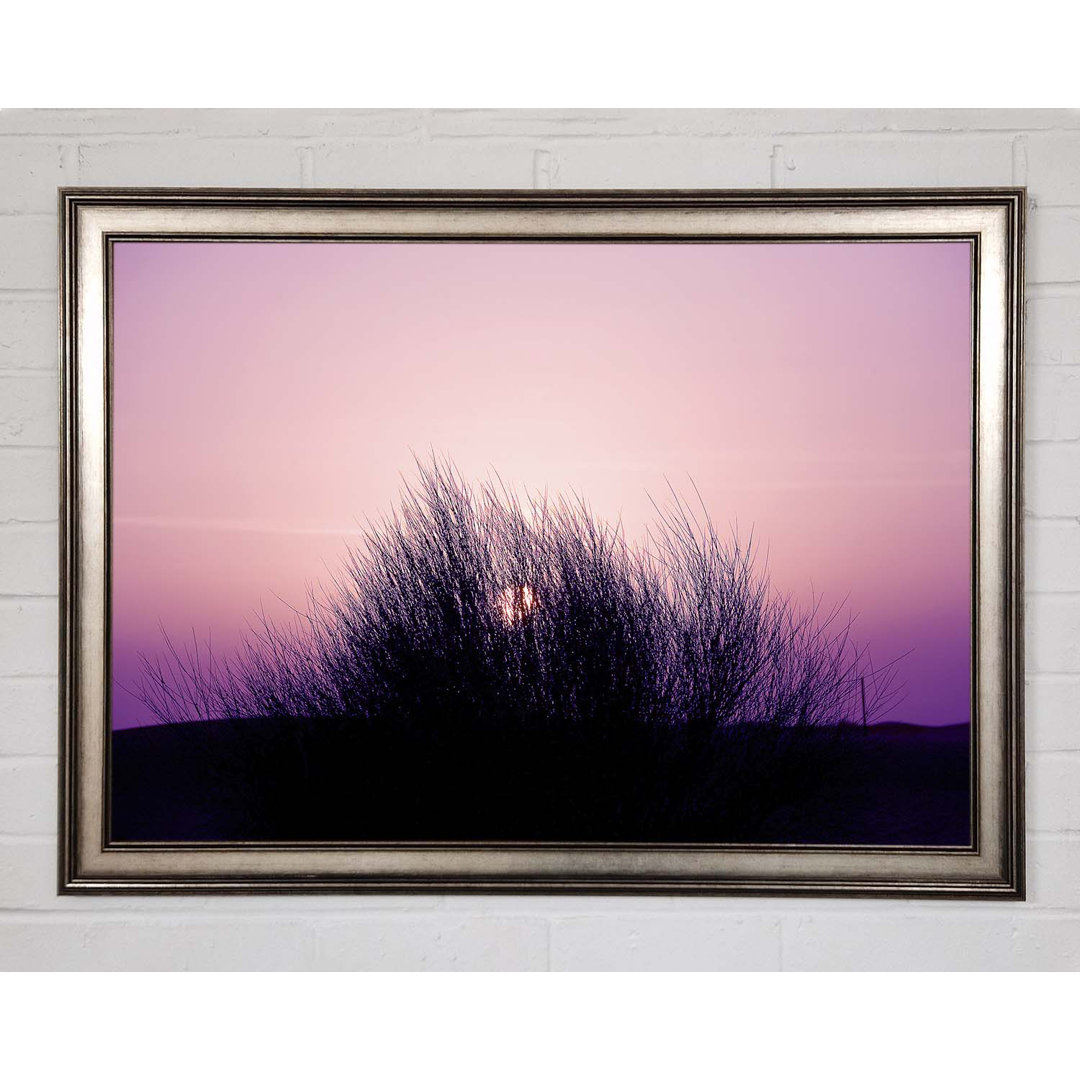 The Sun Reeds Pink - Einzelner Bilderrahmen Kunstdrucke