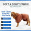 Serviette de bain pour chien avec nom et peignoir pour chien-86380108-86122094-86122091