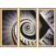 Scale A Chiocciola Giclee Print by David Phoenix