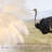 Kerwon Table Lamp-1345903154