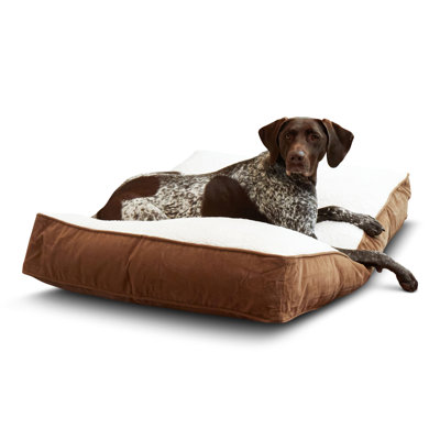 Olivarez Classic Pillow Dog Bed