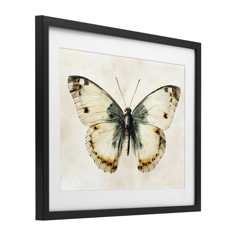 Moth Study Symmetry, impression encadrée sous verre, design by Creative Studio, Cadre noir minuit, H 17 po x l 21 po