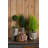 Caines Pot Planter-1488301709